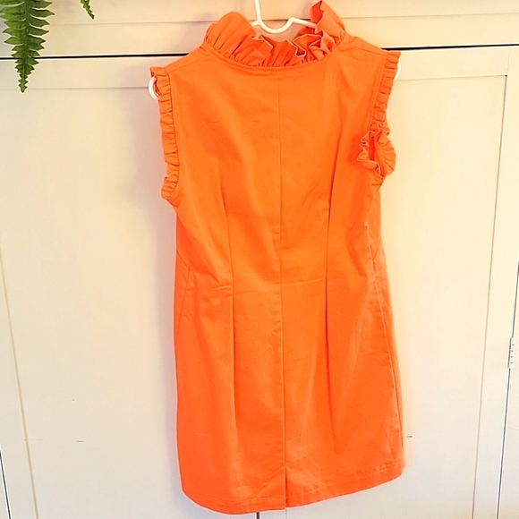 Haley RuffleTop Dress - Picture 2 of 4